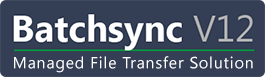Batchsync Logo
